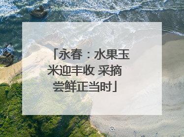 永春：水果玉米迎丰收 采摘尝鲜正当时