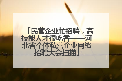 民营企业忙招聘，高技能人才很吃香——河北省个体私营企业网络招聘大会扫描