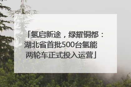 氢启新途，绿耀铜都：湖北省首批500台氢能两轮车正式投入运营