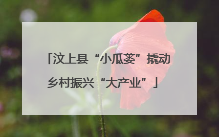 汶上县“小瓜蒌”撬动乡村振兴“大产业”