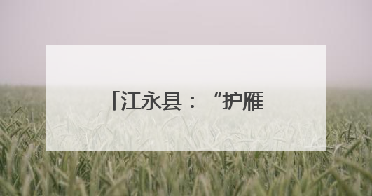 江永县：“护雁”宣讲进校园 助梦启航护成长