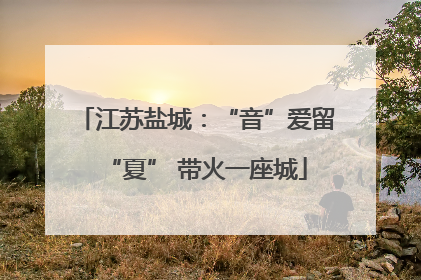 江苏盐城：“音”爱留“夏” 带火一座城