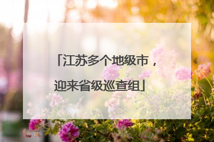 江苏多个地级市，迎来省级巡查组