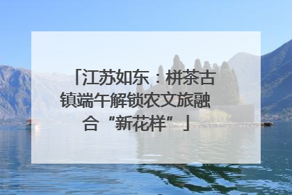 江苏如东：栟茶古镇端午解锁农文旅融合“新花样”
