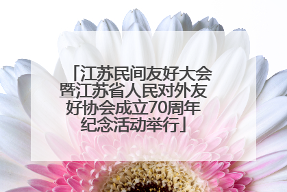 江苏民间友好大会暨江苏省人民对外友好协会成立70周年纪念活动举行