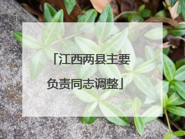 江西两县主要负责同志调整