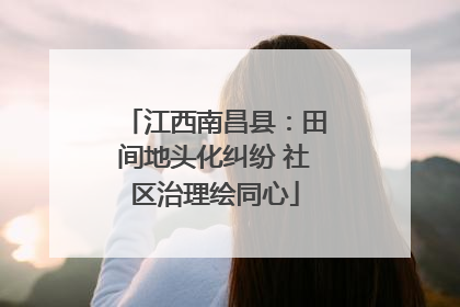 江西南昌县：田间地头化纠纷 社区治理绘同心