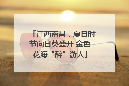 江西南昌：夏日时节向日葵盛开 金色花海“醉”游人
