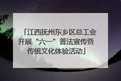 江西抚州东乡区总工会开展“六一”普法宣传暨传统文化体验活动