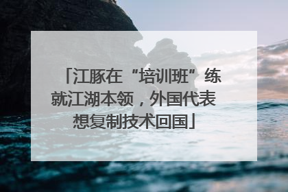 江豚在“培训班”练就江湖本领，外国代表想复制技术回国