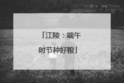 江陵：端午时节种好粮