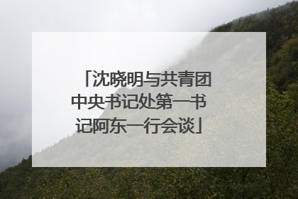 沈晓明与共青团中央书记处第一书记阿东一行会谈