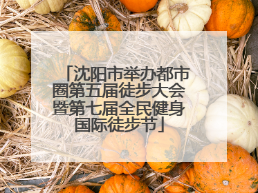 沈阳市举办都市圈第五届徒步大会暨第七届全民健身国际徒步节