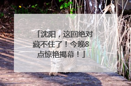 沈阳，这回绝对藏不住了！今晚8点惊艳揭幕！