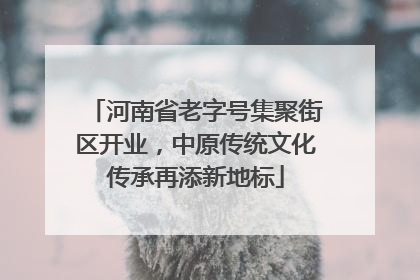 河南省老字号集聚街区开业，中原传统文化传承再添新地标