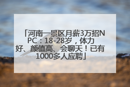 河南一景区月薪3万招NPC：18-28岁，体力好、颜值高、会聊天！已有1000多人应聘