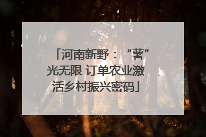 河南新野：“薯”光无限 订单农业激活乡村振兴密码