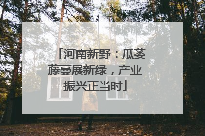 河南新野：瓜蒌藤蔓展新绿，产业振兴正当时