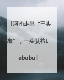 河南走出“三头象”，一头驮着Labubu