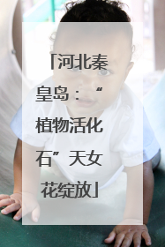 河北秦皇岛：“植物活化石”天女花绽放