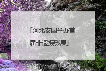 河北安国举办首届非遗摄影展
