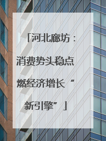河北廊坊：消费势头稳点燃经济增长“新引擎”