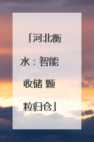河北衡水：智能收储 颗粒归仓