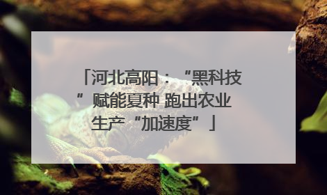 河北高阳：“黑科技”赋能夏种 跑出农业生产“加速度”