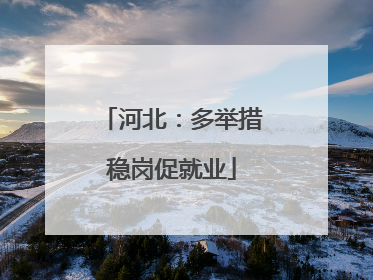 河北：多举措稳岗促就业