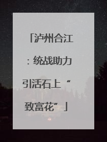 泸州合江：统战助力引活石上“致富花”