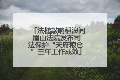 法槌敲响稻浪间 眉山法院发布司法保护“天府粮仓”三年工作成效