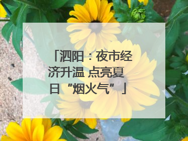 泗阳：夜市经济升温 点亮夏日“烟火气”