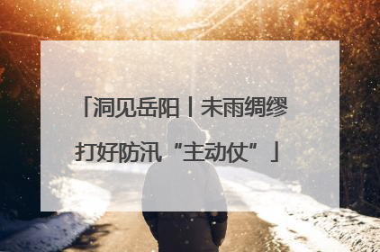 洞见岳阳丨未雨绸缪 打好防汛“主动仗”