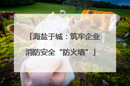 海盐于城：筑牢企业消防安全“防火墙”