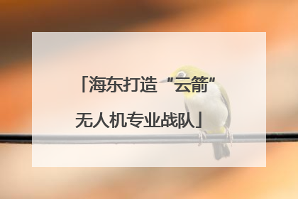 海东打造“云箭”无人机专业战队