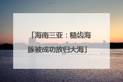 海南三亚：糙齿海豚被成功放归大海