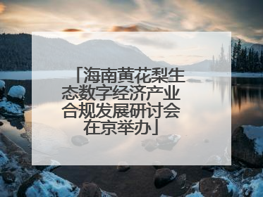 海南黄花梨生态数字经济产业合规发展研讨会在京举办