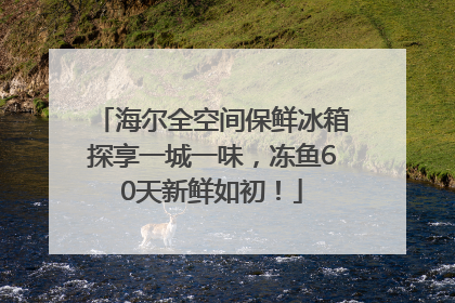 海尔全空间保鲜冰箱探享一城一味，冻鱼60天新鲜如初！