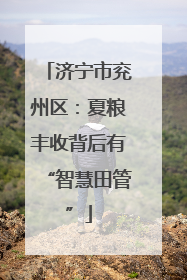 济宁市兖州区：夏粮丰收背后有“智慧田管”