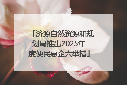 济源自然资源和规划局推出2025年度便民惠企六举措