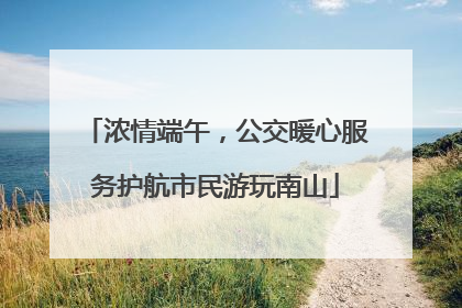 浓情端午，公交暖心服务护航市民游玩南山