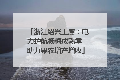 浙江绍兴上虞：电力护航杨梅成熟季 助力果农增产增收