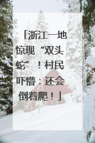 浙江一地惊现“双头蛇”！村民吓懵：还会倒着爬！