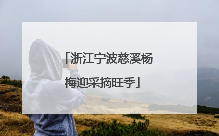 浙江宁波慈溪杨梅迎采摘旺季