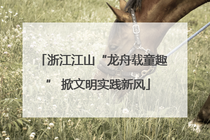 浙江江山“龙舟载童趣” 掀文明实践新风