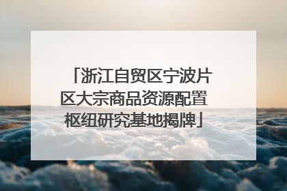 浙江自贸区宁波片区大宗商品资源配置枢纽研究基地揭牌
