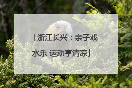 浙江长兴：亲子戏水乐 运动享清凉