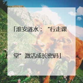 淮安涟水：“行走课堂”激活成长密码