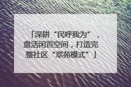 深耕“民呼我为”，盘活闲置空间，打造完整社区“翠苑模式”