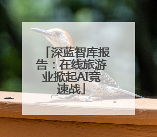 深蓝智库报告：在线旅游业掀起AI竞速战